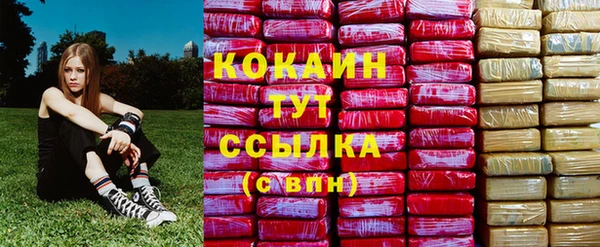 шишки Алексин