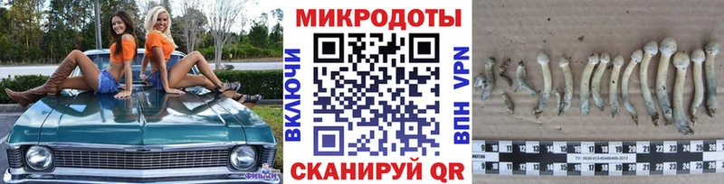 Галлюциногенные грибы Psilocybine cubensis  Троицк 